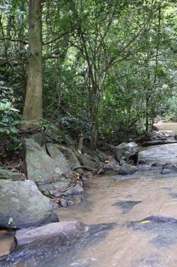 Kayaların arasından akan akarsu