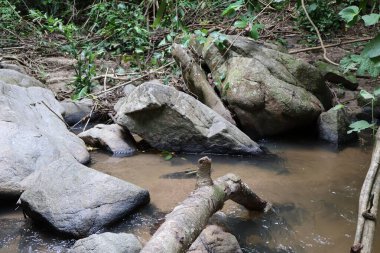 Doğanın güzel manzarası