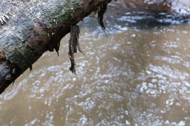 Güzel bir şelalenin yakın çekimi.