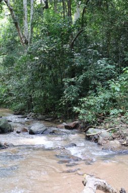Parktaki nehrin güzel manzarası