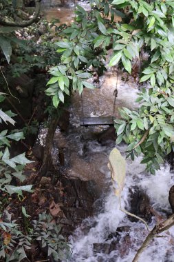 Ormanda güzel bir şelale