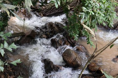 Ormanda güzel bir şelale