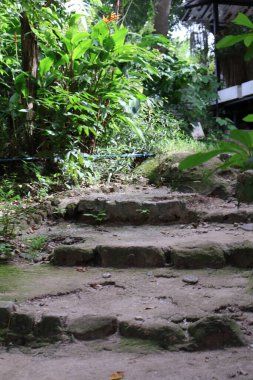 Bahçedeki merdivenler.