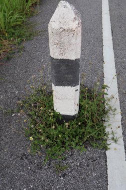 Beyaz ve beyaz çizgili yol tabelası