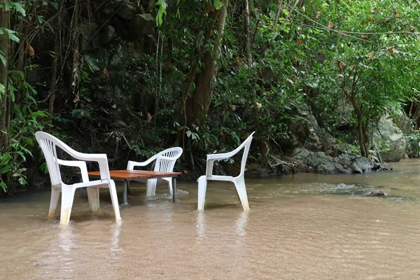 Ormandaki bir nehir manzarası