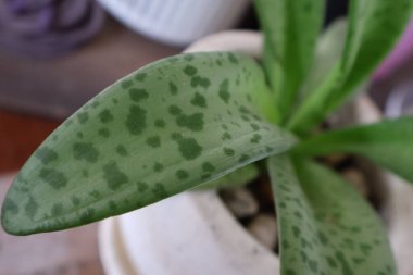 Bir fabrikanın yakınında.