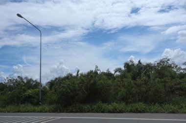 Parktaki asfalt yolda.