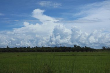 Bulutlu gökyüzü ile güzel bir manzara