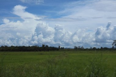 bulutlu ve gökyüzü olan bir tarlanın manzarası