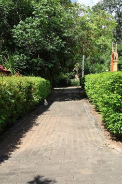 Evin güzel bahçesi.