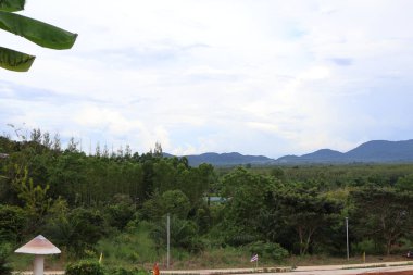 the beautiful view of the city of the island of the new york