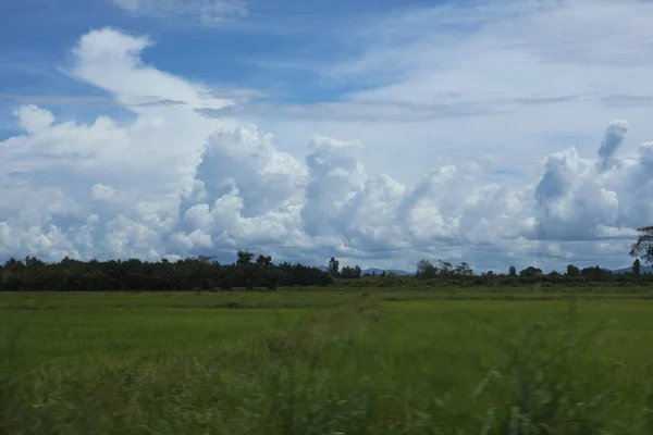 bulutlu ve gökyüzü olan bir tarlanın manzarası