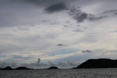 Denizde palmiye ağaçları olan güzel bir tropik ada.