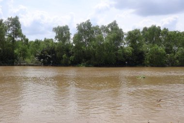 Nehirde sel, Tayland