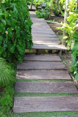 Parktaki güzel ahşap köprü