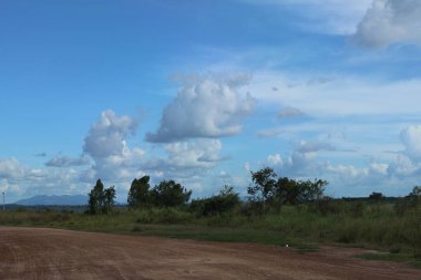 Güzel bir manzara Ağacı ve mavi gökyüzü