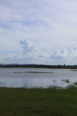 Sabahları göl manzarası