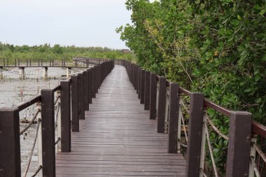 Nehrin üzerindeki köprü