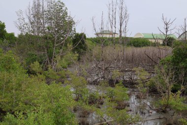 Denizin ortasındaki Gozo Adası.