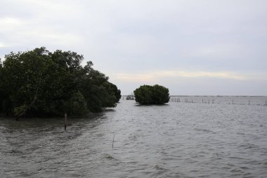 Güzel deniz manzarası