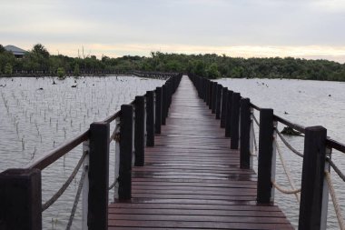 Parktaki tahta köprü.