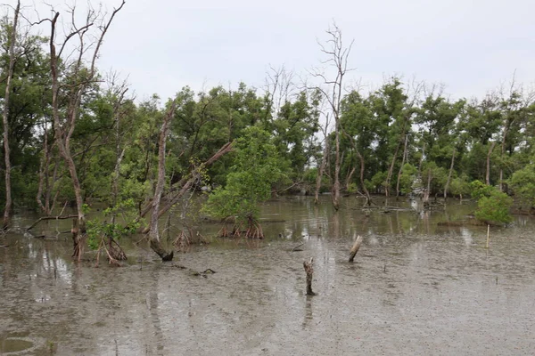 sel gibi akan nehirler.