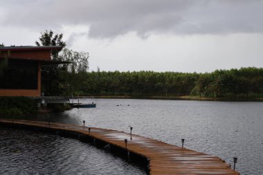 Sabahları parkın manzarası.