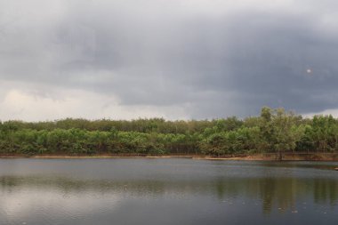 Şehirdeki nehir manzarası