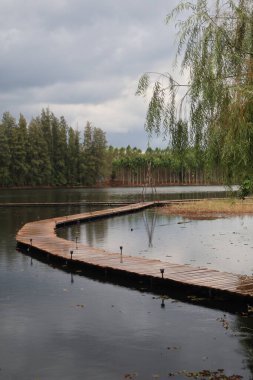 Parkın güzel manzarası