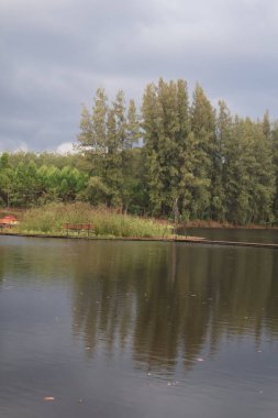 Parktaki nehrin güzel manzarası.