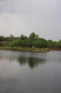 Ormandaki nehrin güzel manzarası