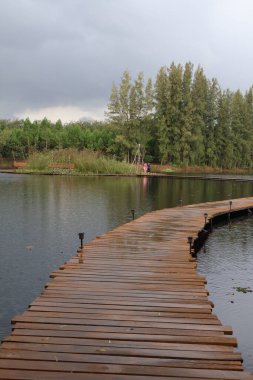 Güzel göl manzarası