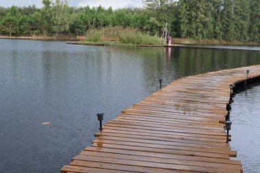 Parktaki ahşap iskele.