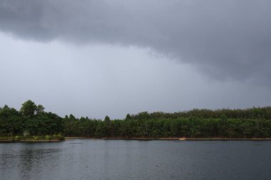 Yağmurlu günlerde ormanda yağmur yağar