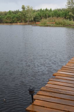 Nehir ve gölü olan güzel bir manzara.