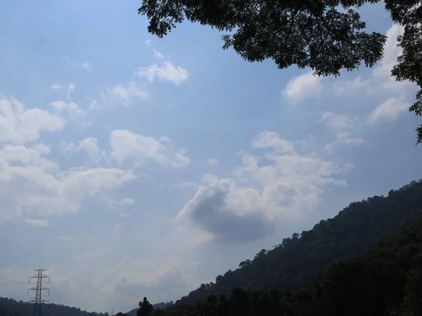 Ağaçlı ve yeşil yapraklı güzel bir manzara.