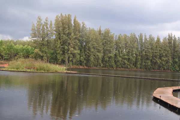 Güzel göl manzarası