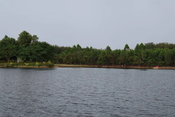 Arkasında bir göl olan güzel bir manzara.