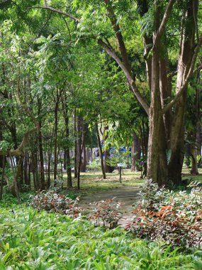 Parkın güzel manzarası