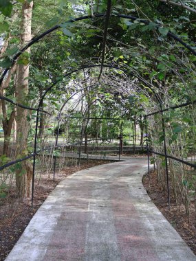 Parkın güzel manzarası