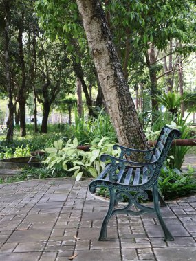 Parktaki yeşil bahçe