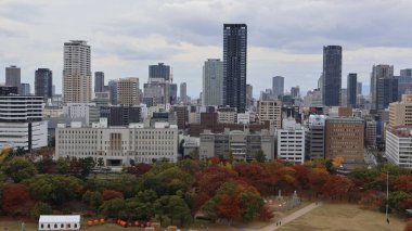 Tokyo şehri, yüksek açılı.