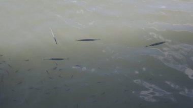 Güzel bir deniz manzarası.