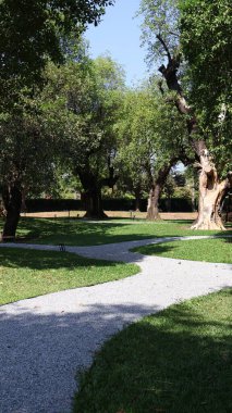 Güneşin altında bir ağaç ve bankla parkın dikey görüntüsü.