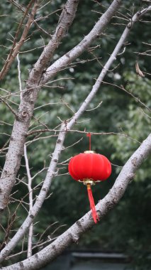 Parktaki kırmızı fener.