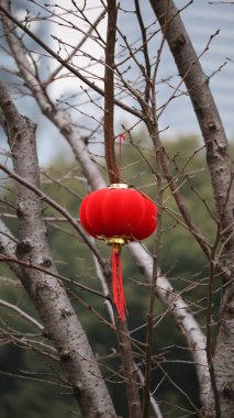 Bahçede kırmızı ve beyaz balon