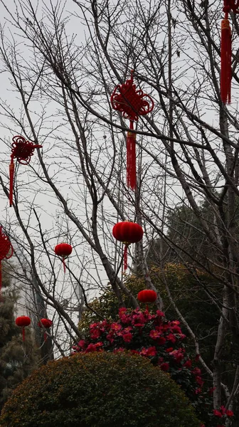 Parktaki kırmızı fener.