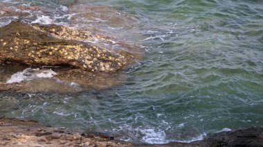 Güzel deniz kıyısı. doğa arkaplanı