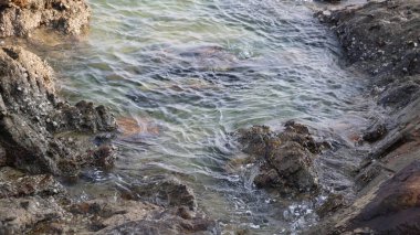 Deniz dalga köpüğü ile