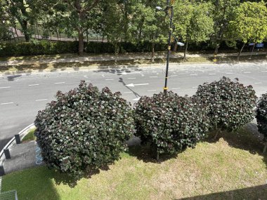 beautiful view from the park